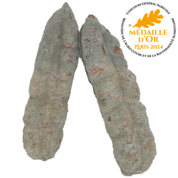 Saucisson sec