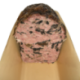 Pâté de campagne forestier