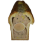Pâté en croûte au foie gras