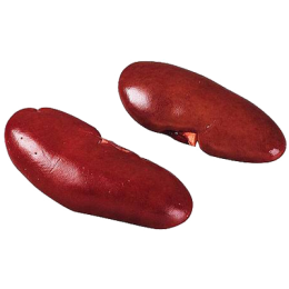 Rognons