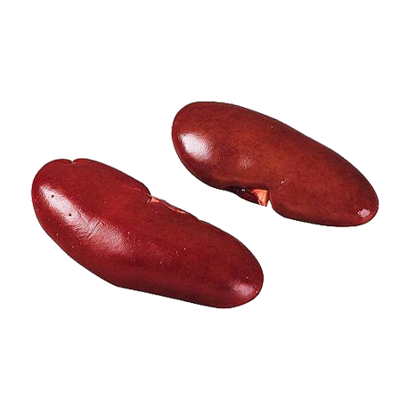 Rognons Rognons