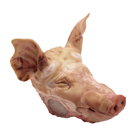 Tête de porc Tête de porc