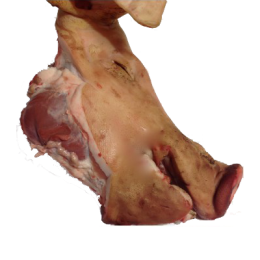 Tête de porc