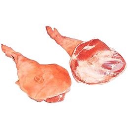 Epaule
