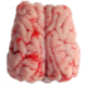 Cervelle de porc