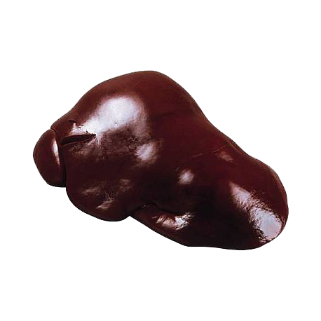 Foie de bœuf Foie de bœuf