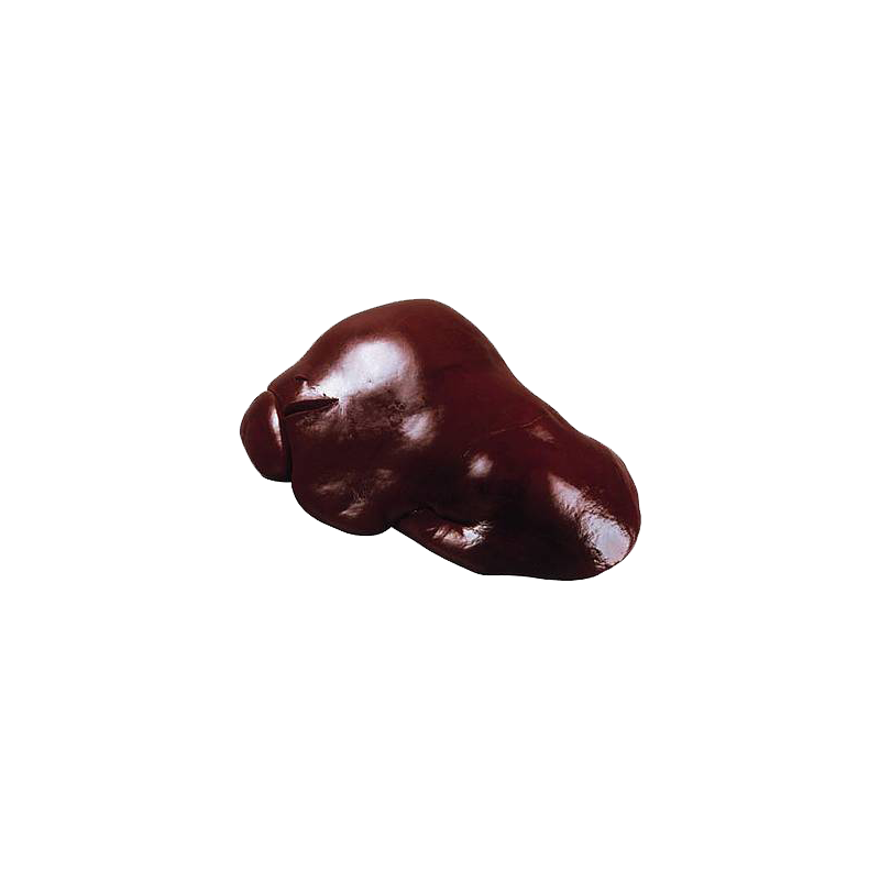 Foie de bœuf