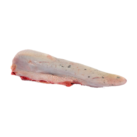 Langue de bœuf Langue de bœuf