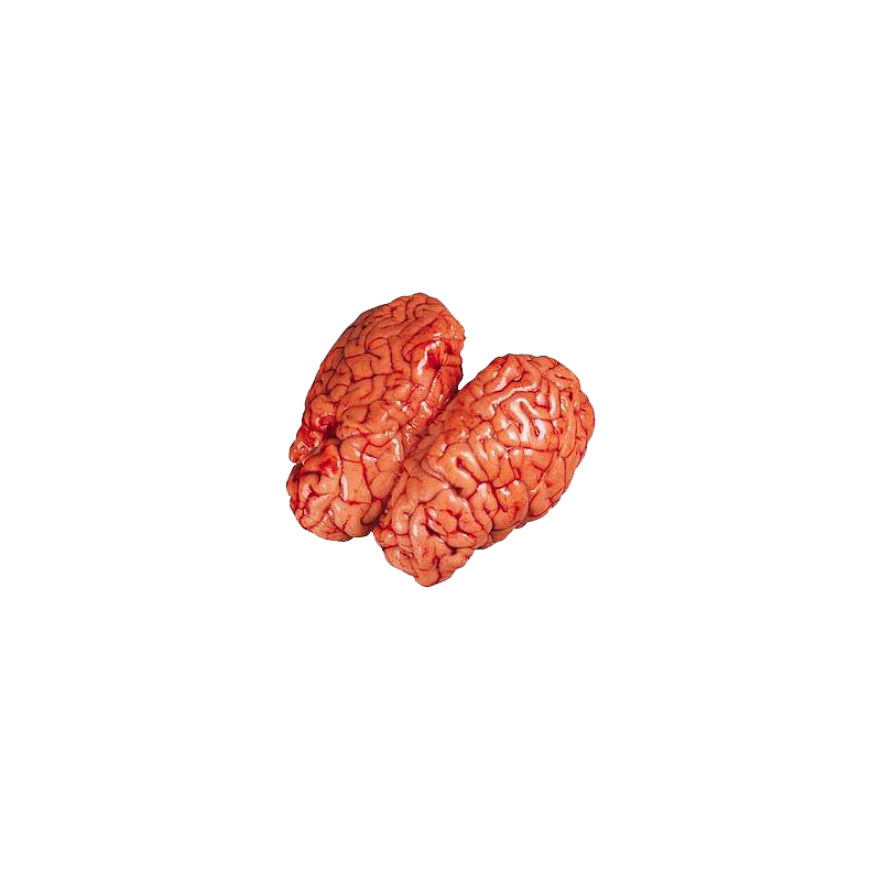 Cervelle de veau