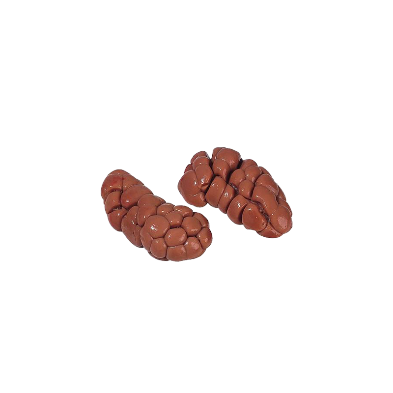 Rognon de veau