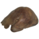 Foie cuit