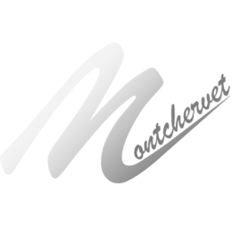 Os à moelle