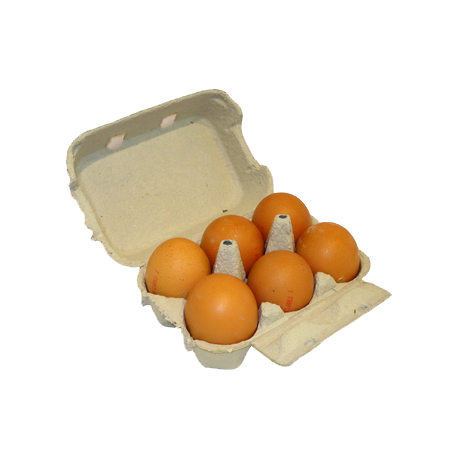 Œuf / 6 cal M Œuf / 6 cal M