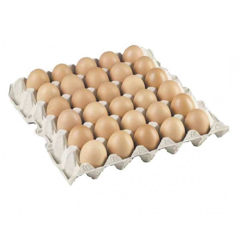 Œuf plaque x30 cal M