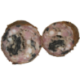 Saucisson cuit forestier