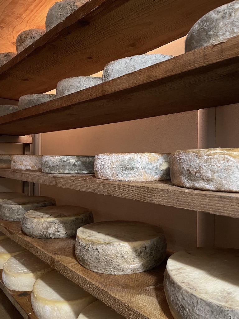 Atelier de transformation de la viande